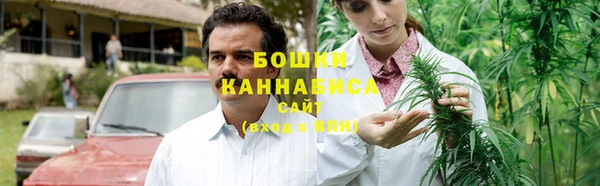 сатива Гусь-Хрустальный