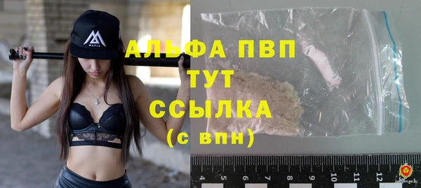 сатива Гусь-Хрустальный