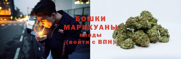 сатива Гусь-Хрустальный