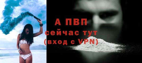 сатива Гусь-Хрустальный