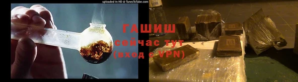 сатива Гусь-Хрустальный