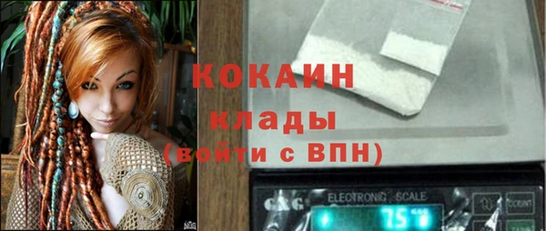 сатива Гусь-Хрустальный