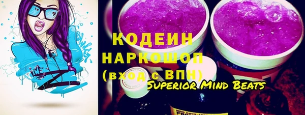 сатива Гусь-Хрустальный