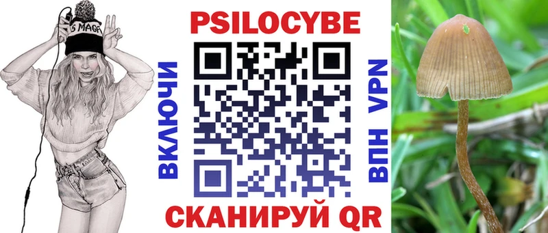 Галлюциногенные грибы Cubensis  Вологда 